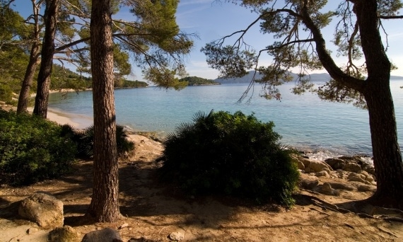 bahia-formentor-pollenca-3035
