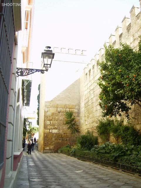 barrio-de-santa-cruz_77_4