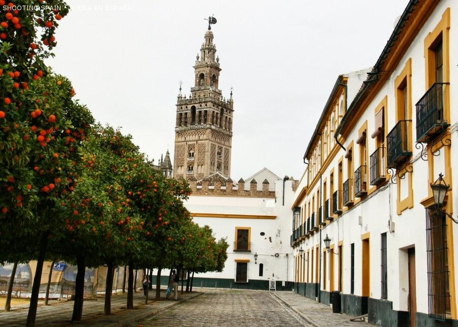 barrio-de-santa-cruz_77_7