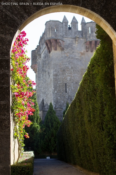 castillo-de-almodóvar_229_23