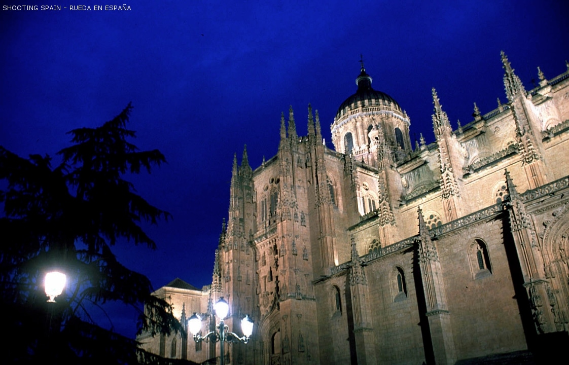catedral-de-salamanca_59_7