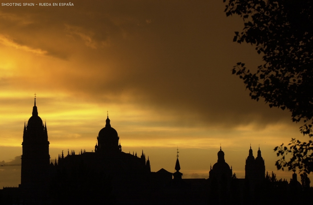 catedral-de-salamanca_59_8