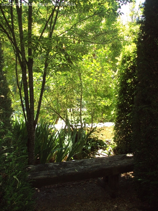el-romeral-de-san-marcos-jardín-de-leandro-silva_223_6
