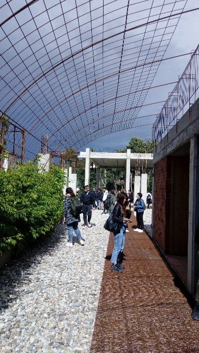 foto-982_8196