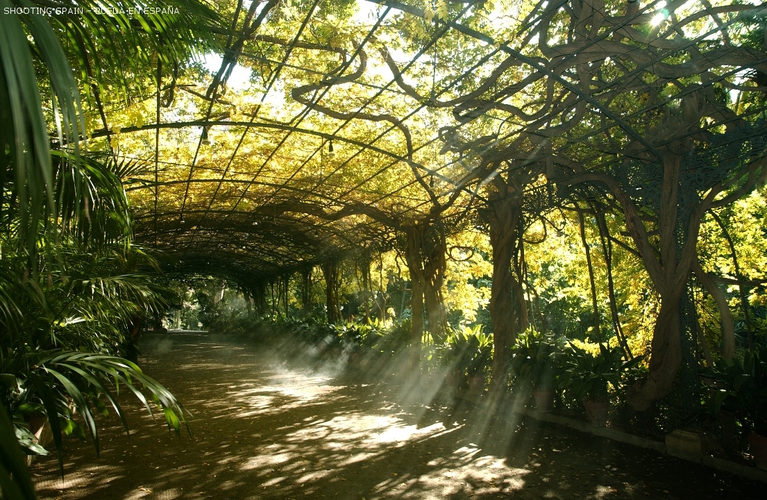 jardín-botánico-la-concepción_90_1