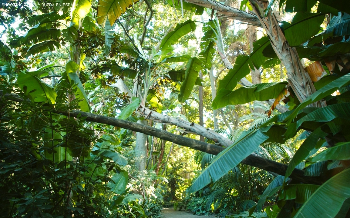 jardín-botánico-la-concepción_90_10
