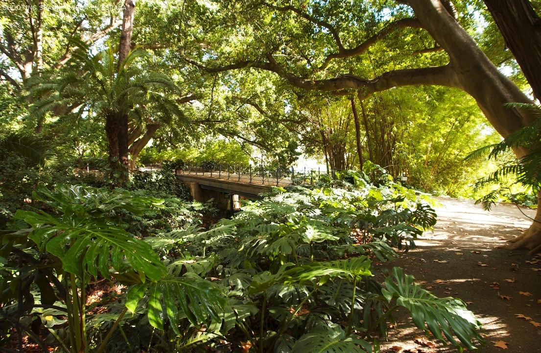 jardín-botánico-la-concepción_90_2
