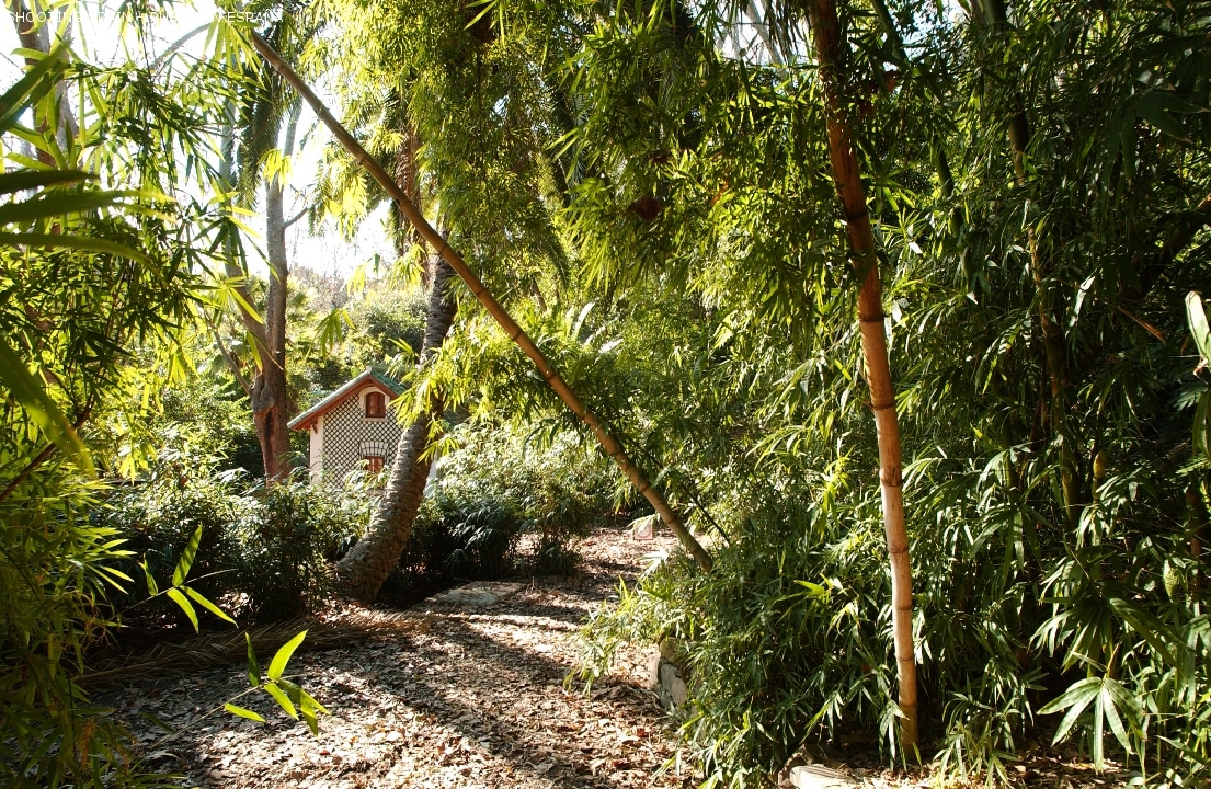 jardín-botánico-la-concepción_90_4