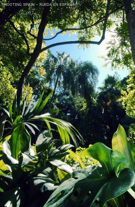 jardín-botánico-la-concepción_90_9