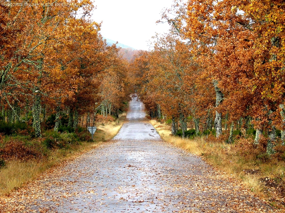 la-alberca_26_10