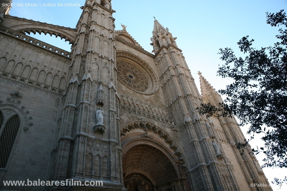la-seu-catedral_411_6