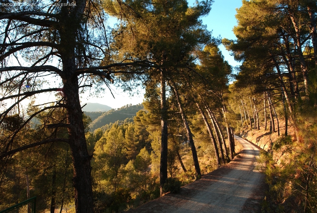 montes-de-málaga_107_5
