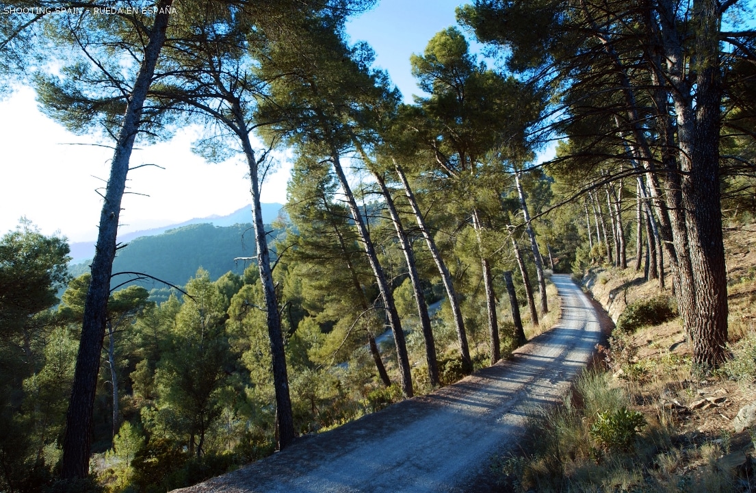 montes-de-málaga_107_7