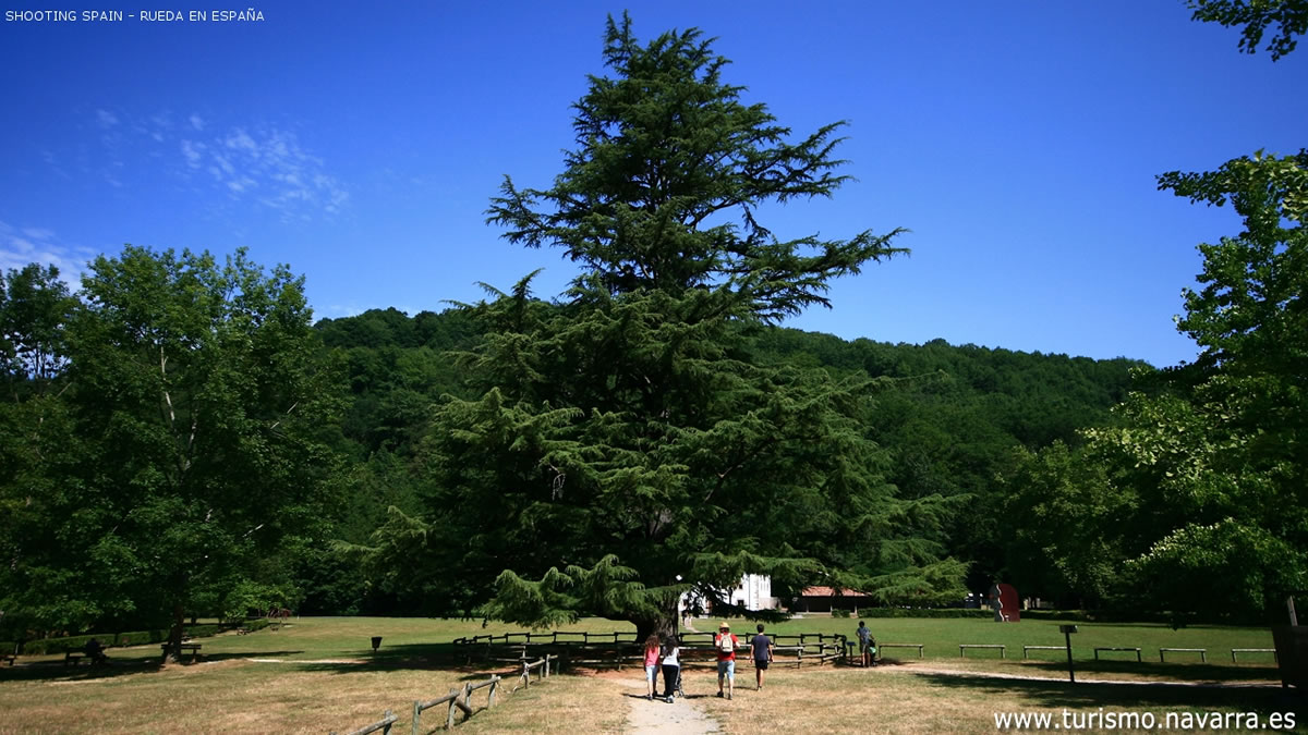 palacio-de-bértiz-y-parque-natural_274_10
