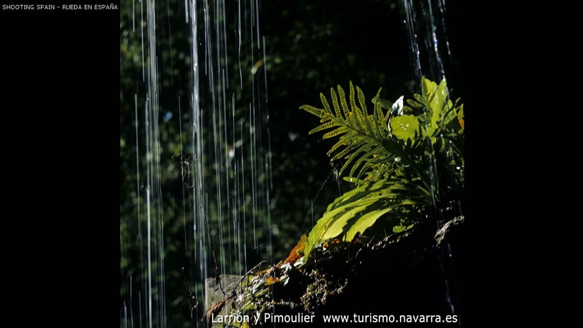 palacio-de-bértiz-y-parque-natural_274_12