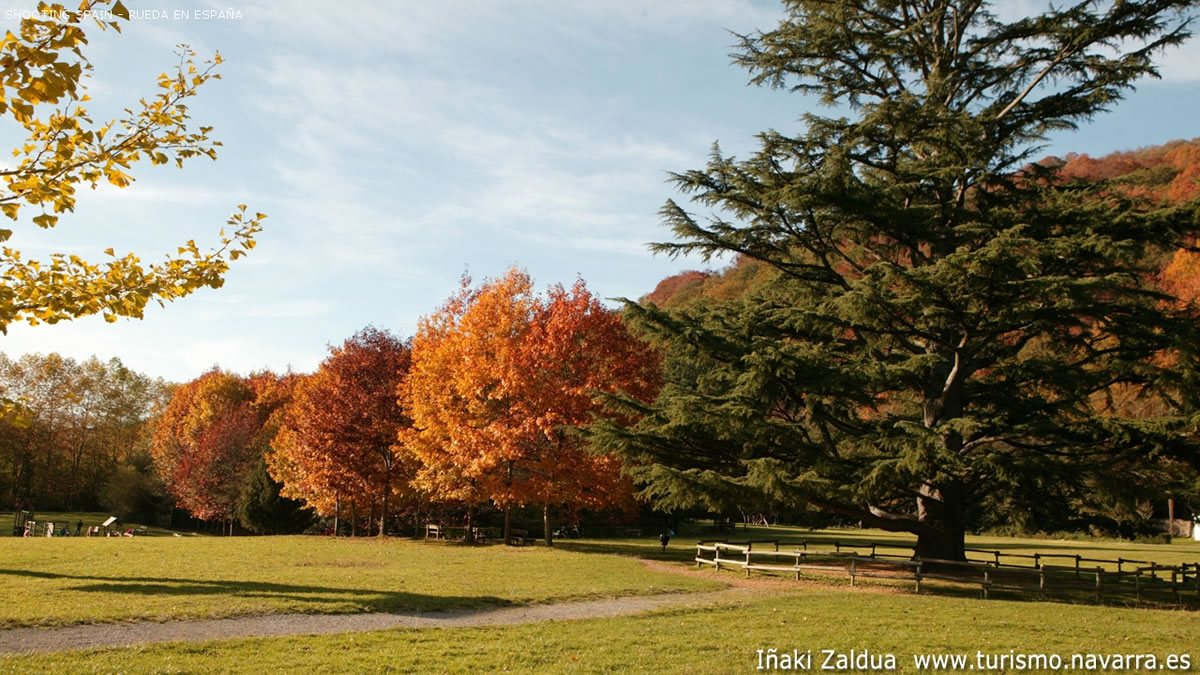 palacio-de-bértiz-y-parque-natural_274_13