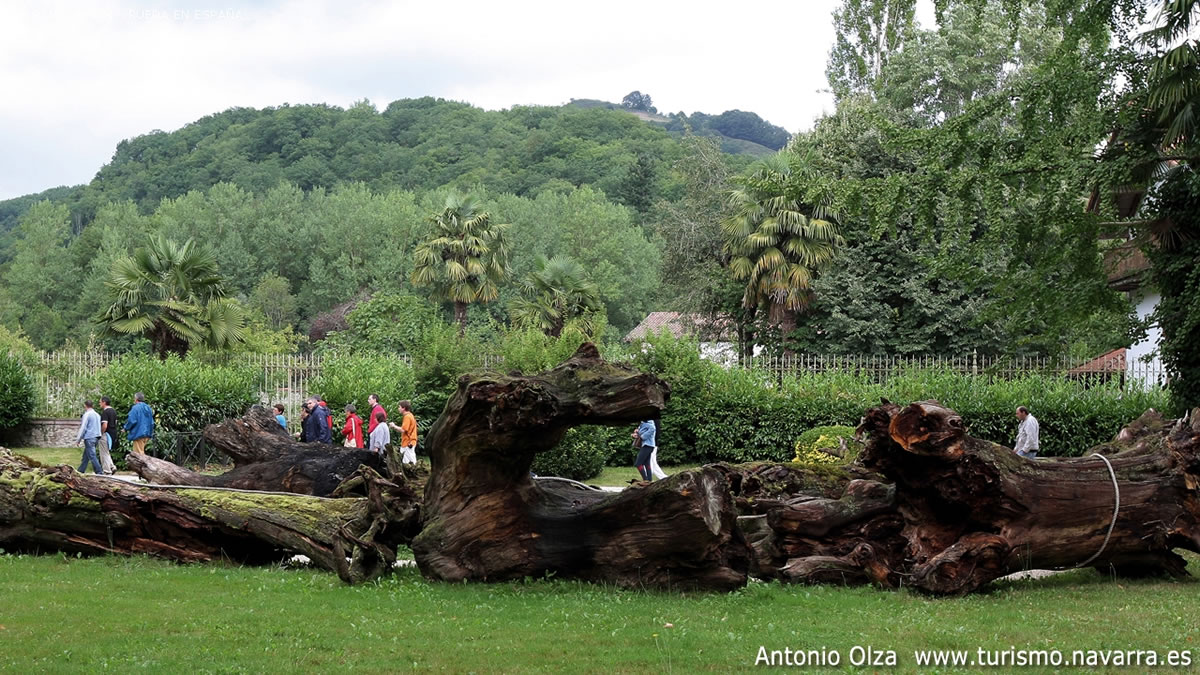 palacio-de-bértiz-y-parque-natural_274_15