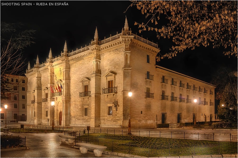 palacio-de-santa-cruz_141_1