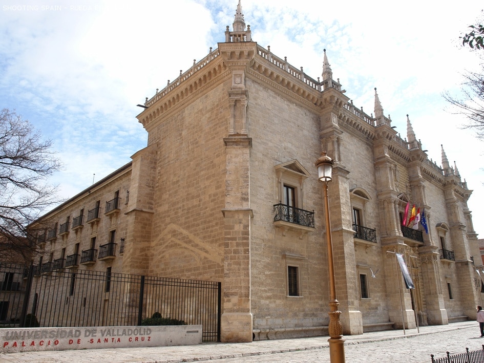 palacio-de-santa-cruz_141_2