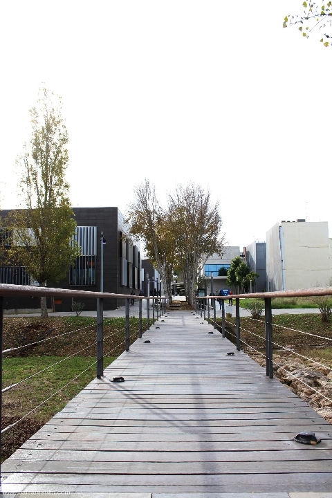 parc-bit-parque-balear-de-innovación-tecnológica_375_19