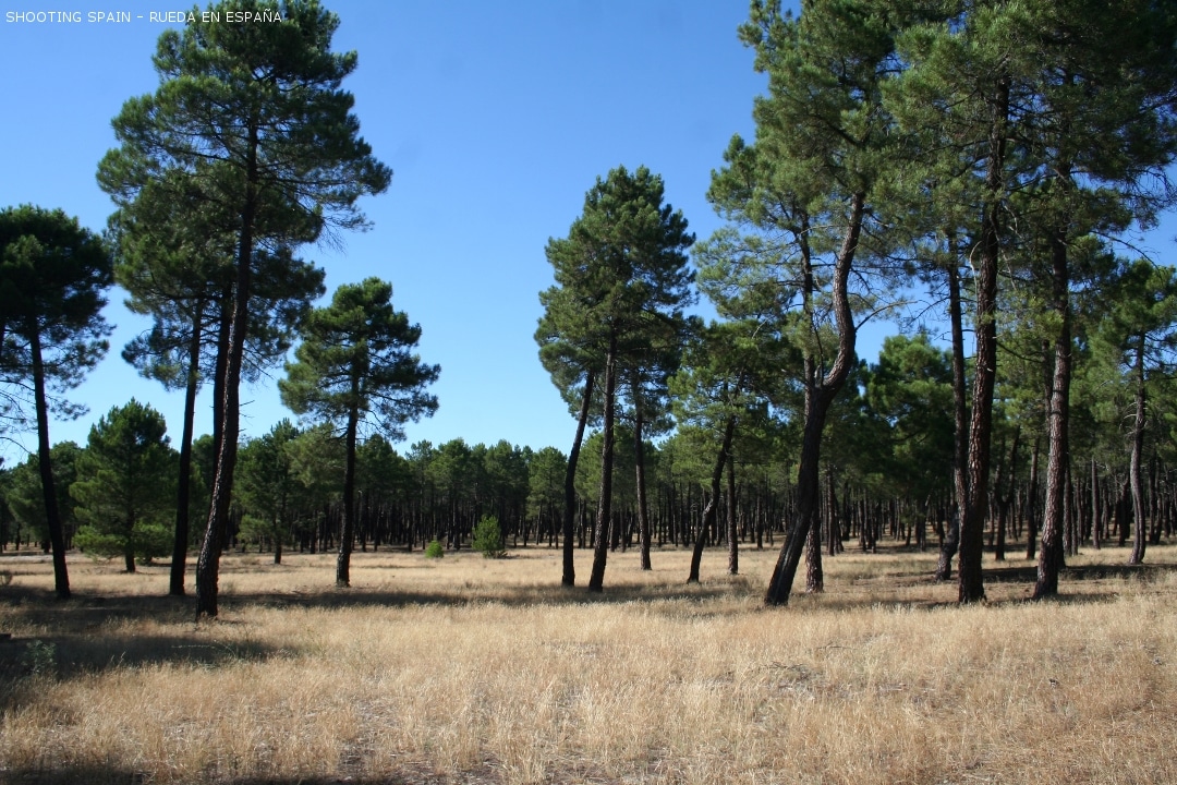 parque-natural-de-las-hoces-del-río-duratón_13_4