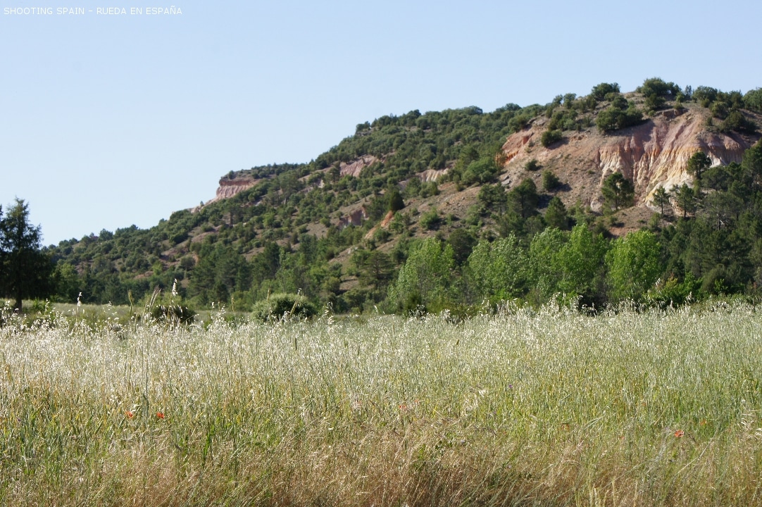 parque-natural-de-las-hoces-del-río-duratón_13_6