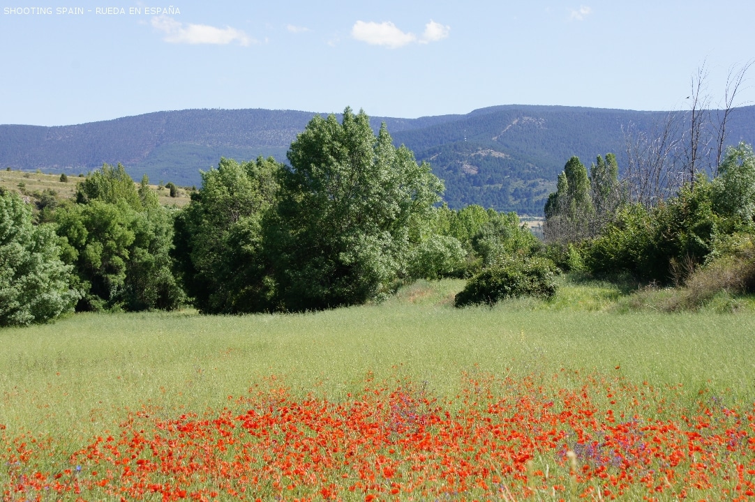 parque-natural-de-las-hoces-del-río-duratón_13_9