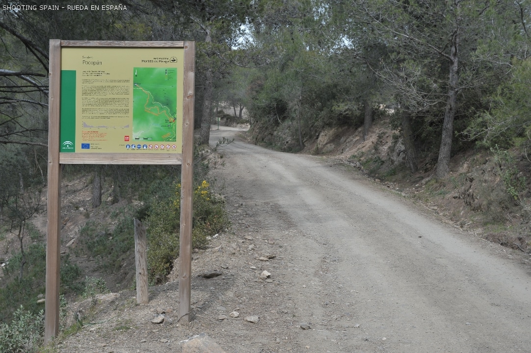 parque-natural-montes-de-málaga_107_15