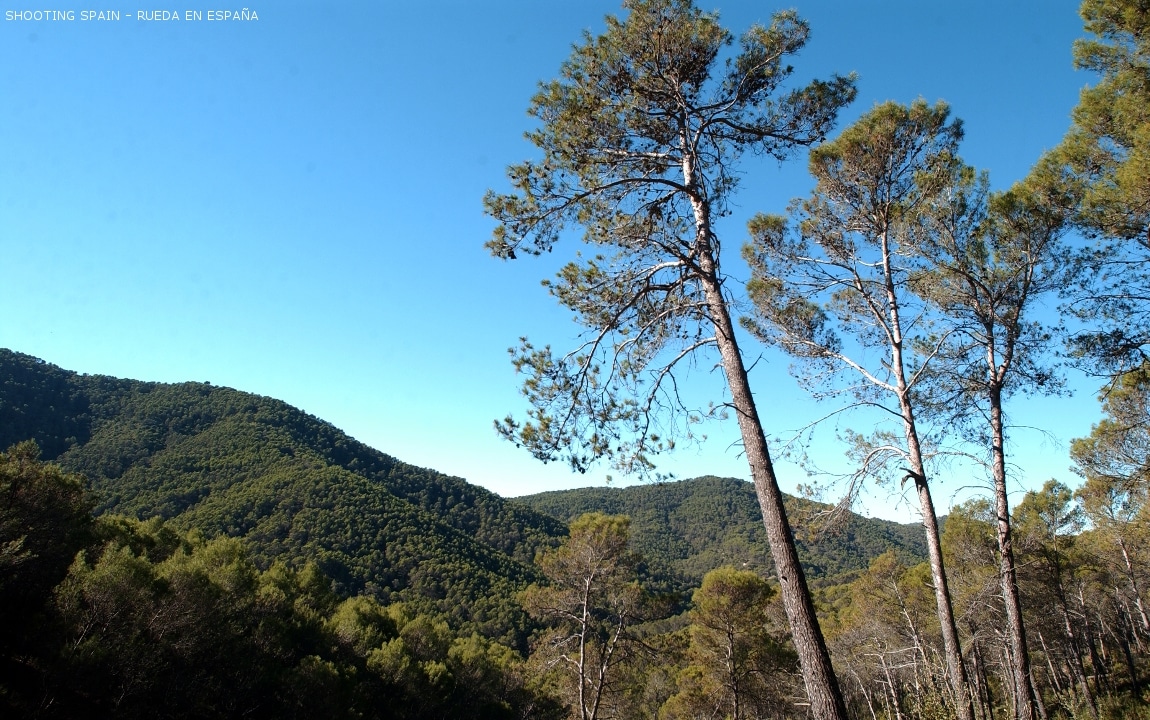 parque-natural-montes-de-málaga_107_9