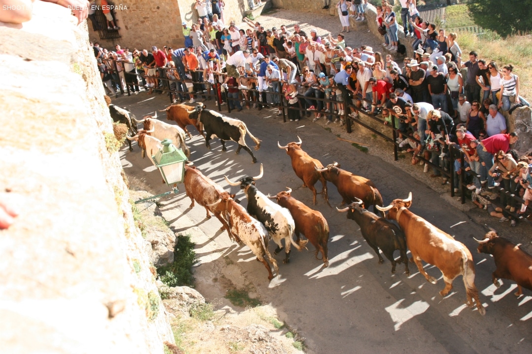 pedraza_340_3