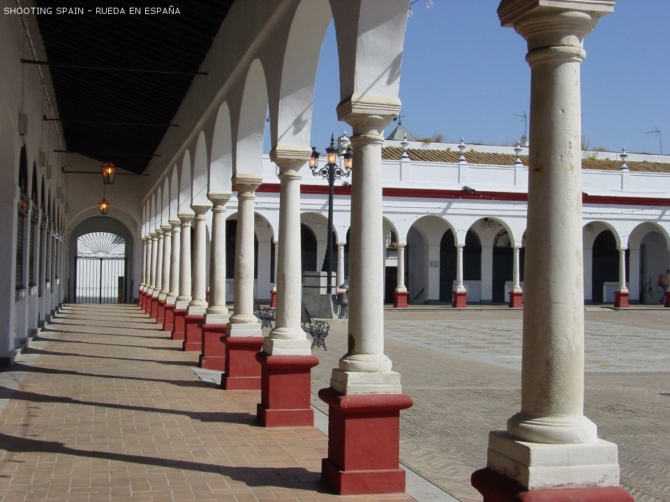 plaza-de-abastos-o-plaza-del-mercado_166_13