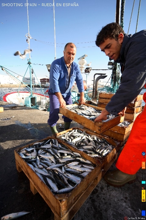 puerto-de-vigo-y-astilleros_331_6
