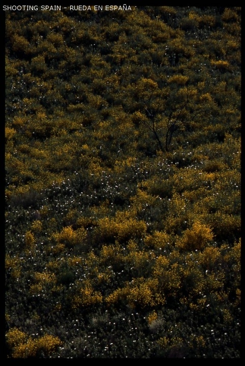 robledillo-de-gata_300_11