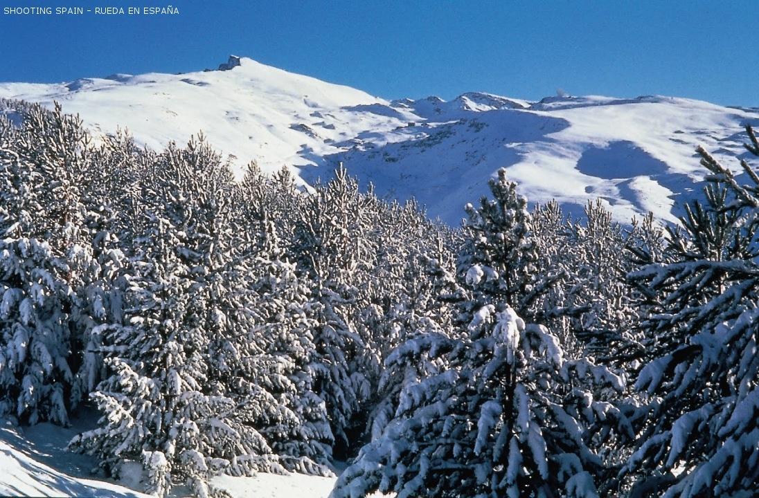 sierra-nevada_173_10
